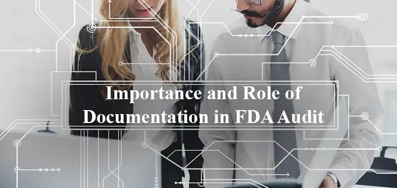 Importance and Role of Documentation in FDA Audit